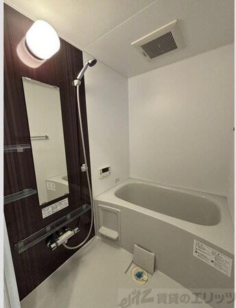 エルソフィア正雀IIの物件内観写真